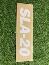 Genie SLA Material Lift SLA20