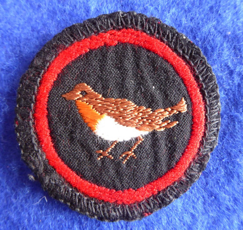 Vintage girl guide - vintage, patrol