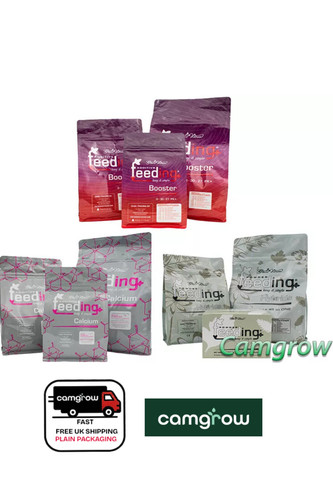 Green house powder - house,