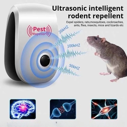 Ultrasonic rat mouse - rat,