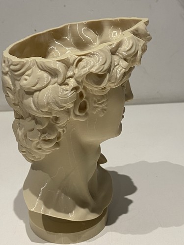 David statue head pot vase - david,