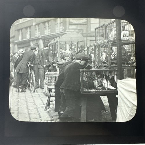Antique magic lantern slide - antique,