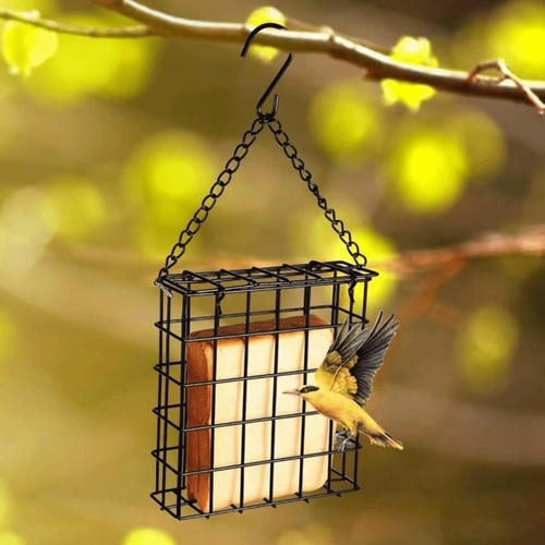 Bird feeder cube cage - bird, food
