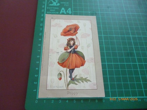 Margaret tarrant poppy c - w.,
