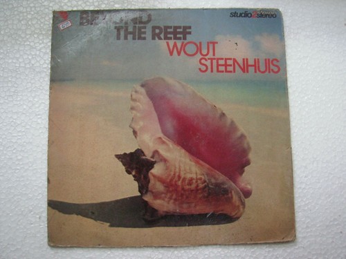 Wout steenhuis beyond the - steenhuis,