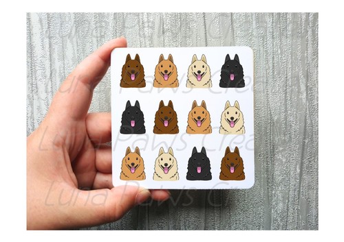 Schipperke coaster novelty - schipperke,
