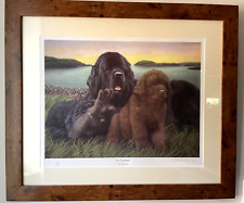 New-Foundlands by Nigel Hemmings - framed signed limited edition print (42/200)
