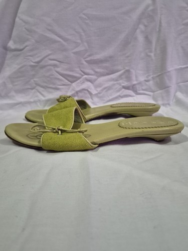 Graye lime green canvas kitten - lime,