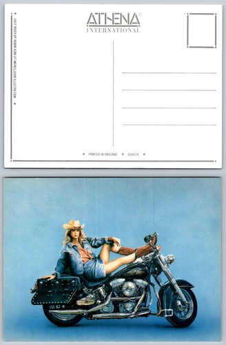 Robin koni easy - easy, rider