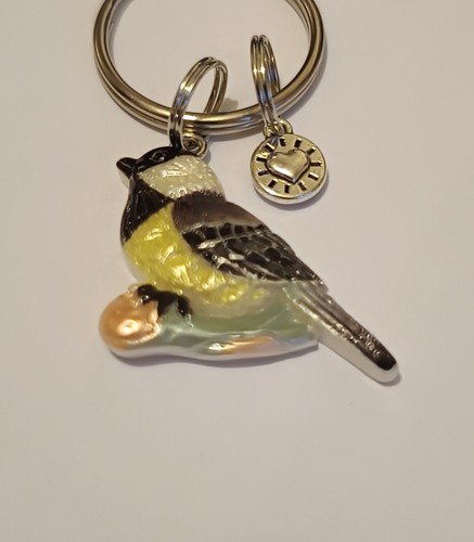 Lovely little great tit bird - little,