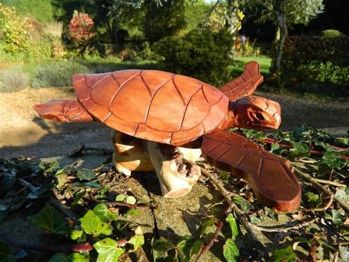 Turtle carving hand carved - hand,