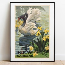 Poster art Kew Gardens Swans