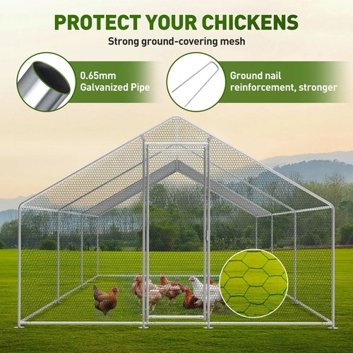 Metal chicken coop - chicken, 19.7ft
