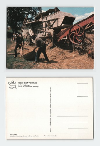 Vintage postcard rural life - postcard,