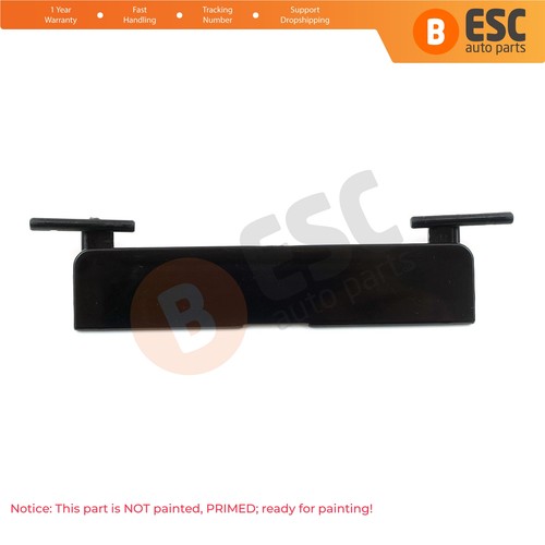 Panoramic roof rack cover - roof, trim