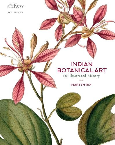 Indian botanical art - art, martyn