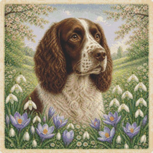 Springer spaniel puppy dog - springer,