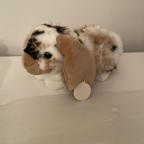 Living nature brown dutch lop - nature,