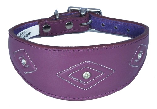 Leather purple whippet - whippet, collar