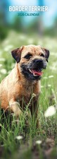 Border Terrier 2026 Slim Calendar