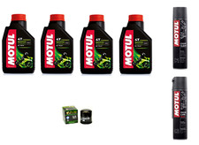 CUTTING SUZUKI GSX R 1000 2009