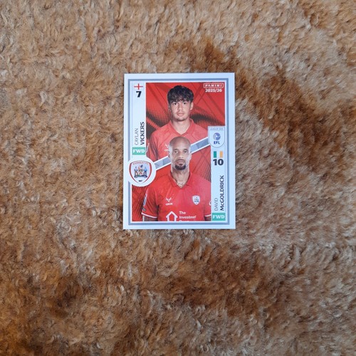 Panini efl sticker - panini,
