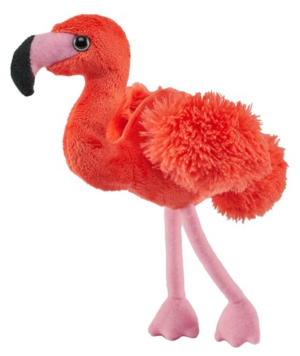 New flamingo wild - flamingo,