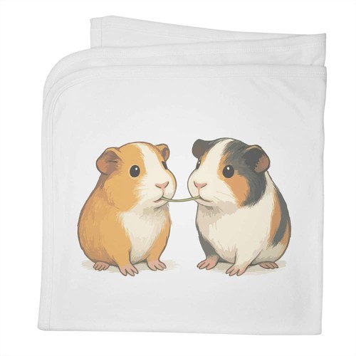 Guinea pigs eating cotton - 'guinea,
