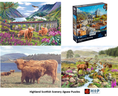 Highland cattle scotland - highland,