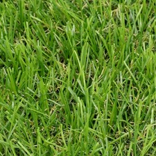 Super 30mm Artificial Grass -