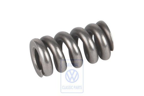 Vag injector spring - spring, golf