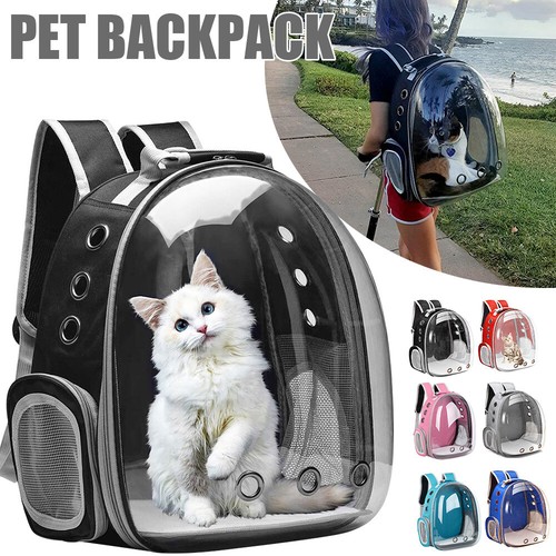Astronaut window dog cat - astronaut,