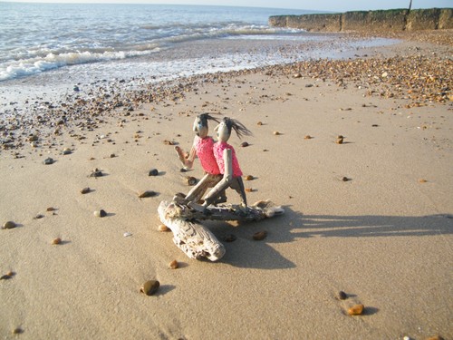 Driftwood