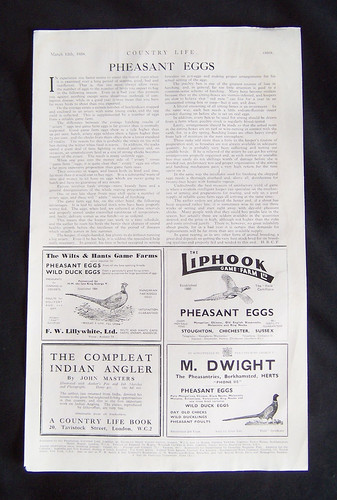Pheasant eggs article and - eggs,
