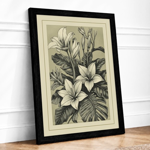 White lilies study botanical - lilies,