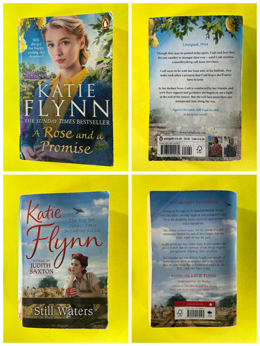 Katie flynn still waters - katie, flynn,
