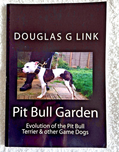 Pit bull garden evolution - bull, garden: