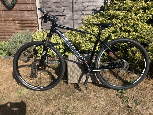 Specialized mountain bike - mountain, xl