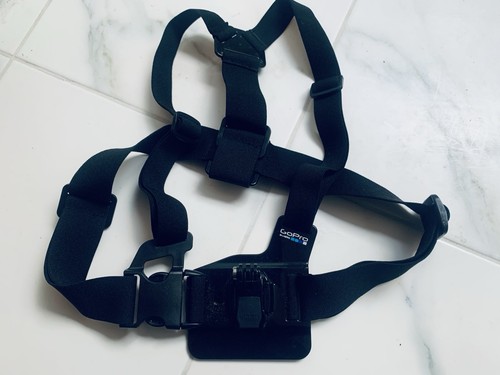 Gopro camera chest - camera, harness