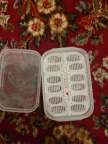 Reptile egg incubator tray - reptile,