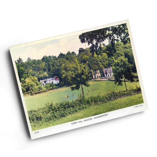 Print vintage wales - wales,