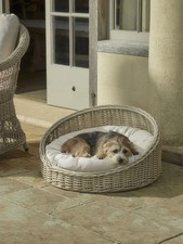 Willow Pet bed Wicker Dog Bed