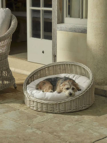 Willow pet bed - bed, dog