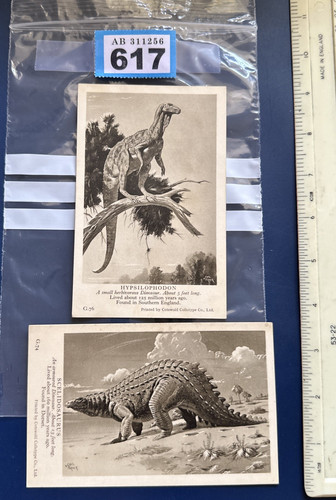 Np617 dinosaur collectables - np617,