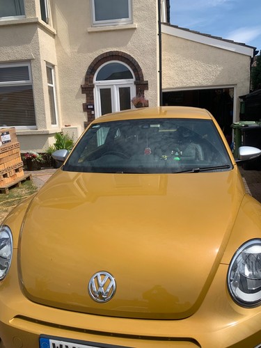 Volkswagen beetle dune 2018 - beetle,