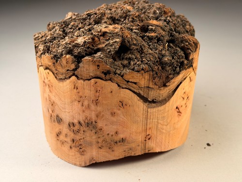 Amazing live edge burr elm - amazing,