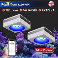 PopBloom RL90 48" 120cm 4ft