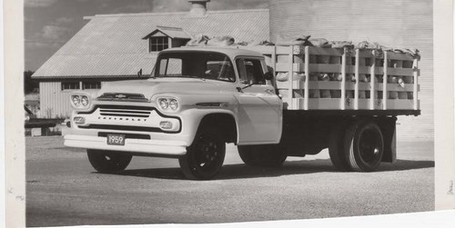 Chevrolet apache 1959 - apache, photo