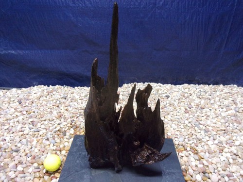 Large driftwood mounted - large, on