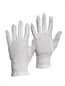 Warrior ladies bleach cotton - warrior,